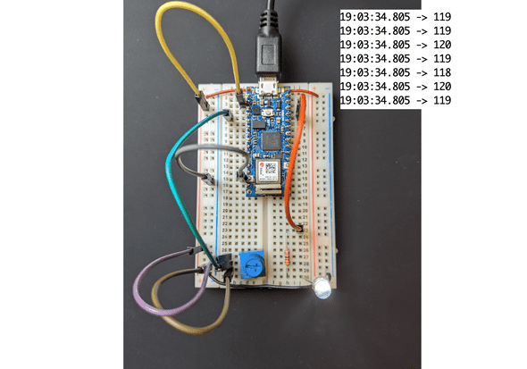 analog input