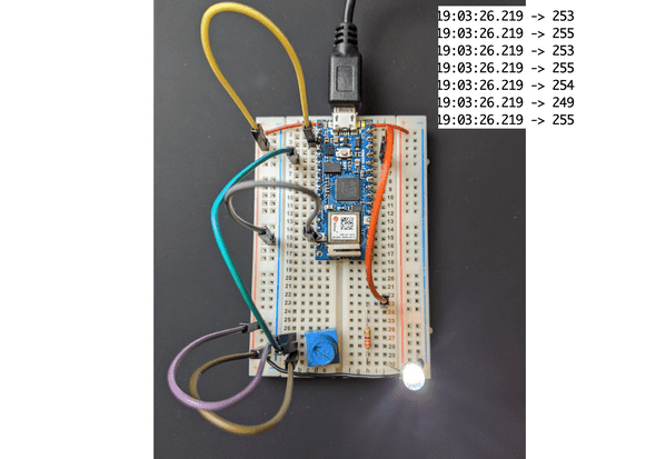 analog input